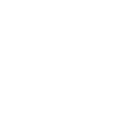 Surveyor Icon